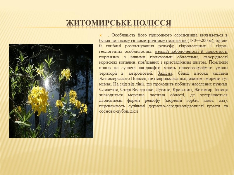 Житомирське Полісся . Особливість його природного середовища виявляється в більш високому гіпсометричному положенні (180—200